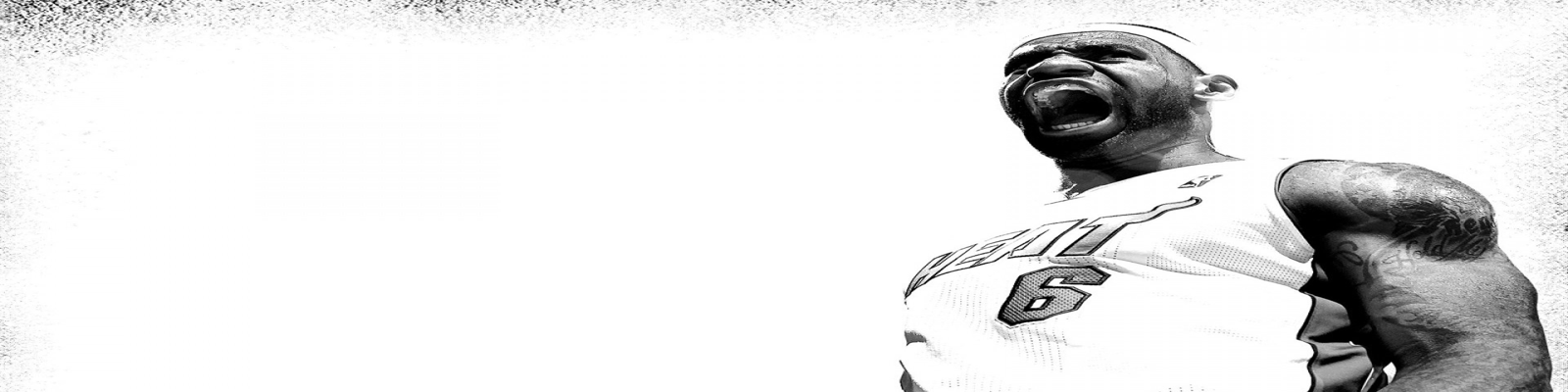 banner1